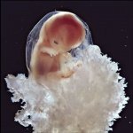 10 Weeks
